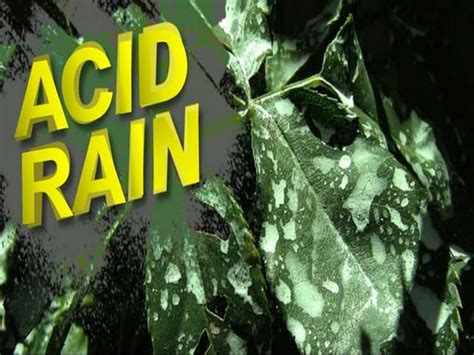 Acid Rain Ppt