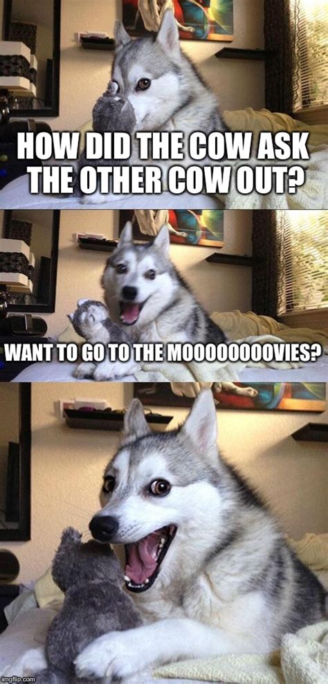 Cow Bad Pun Dog Imgflip