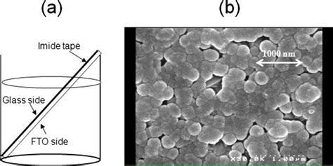 Color Online Illustration Of The Chemical Zns Deposition Apparatus A Download Scientific