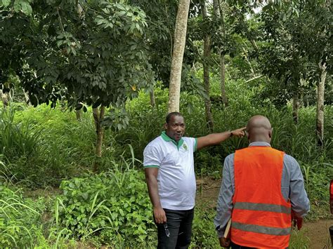 Accès aux plantations dhévéa et transport du caoutchouc vers les