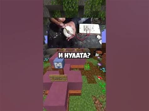 НАЙ-ТЪПИТЕ ВИЦОВЕ на СВЕТА 5️⃣🤦‍♀️ - YouTube