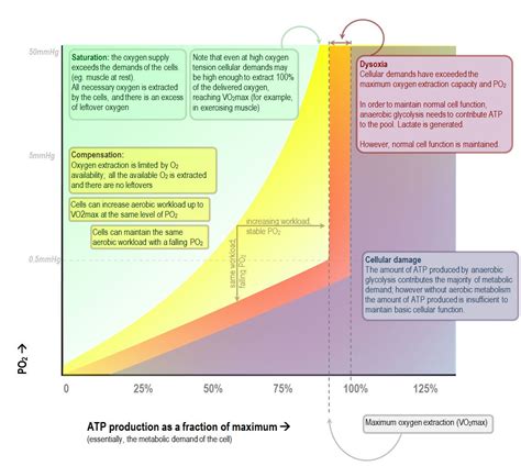 The Relationship Of Venous Oxygenation And Cellular Metabolism Deranged Physiology