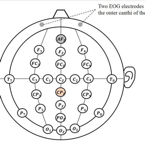 Used Electrodes Position Diagram Download Scientific Diagram