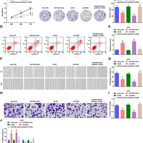 Elevated Mir Or Reduced Pax Inhibits Aggressive Behaviors Of Ags