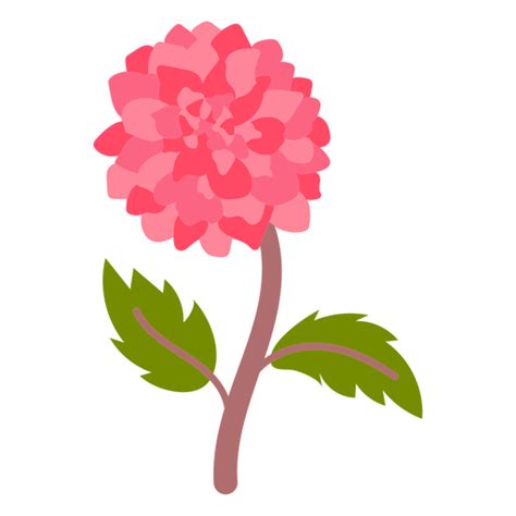 Hydrangea Flower Semi Flat Png And Svg Design For T Shirts