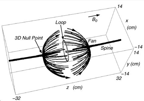 Selected Field Lines Through The Cusp Magnetic Null Points Created By