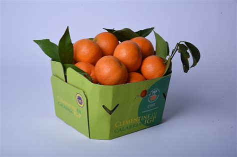 Il Consorzio IGP Calabria Protagonista A Macfrut 2024 A Rimini Vetrina