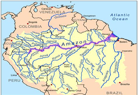 Río Amazonas | La guía de Geografía