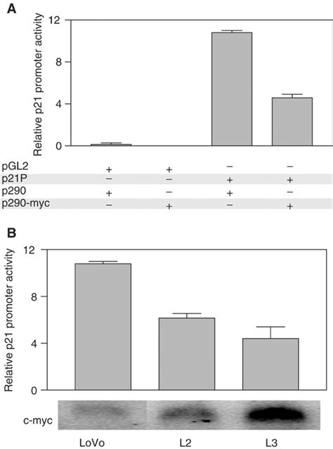 c-Myc overexpression sensitises colon cancer cells to camptothecin ...