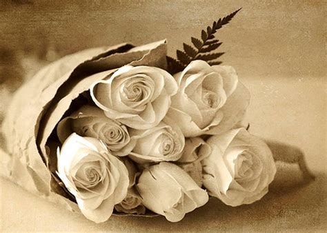 Sepia Photography Rose Art Still Life Photograph By Judystalus