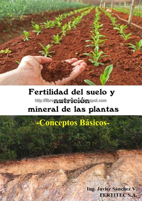 Fertilidad Del Suelo Y Nutrici N Mineral De Las Plantas Libros