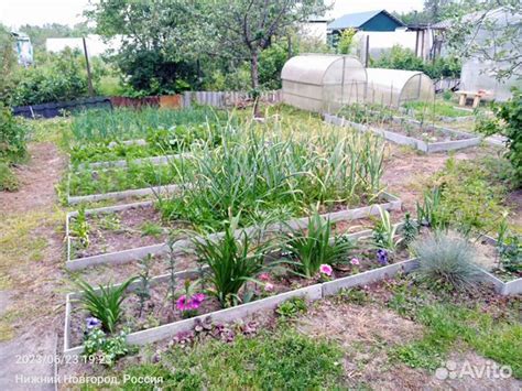 Грядки из плоского шифера купить в Нижнем Новгороде | Товары для дома и ...