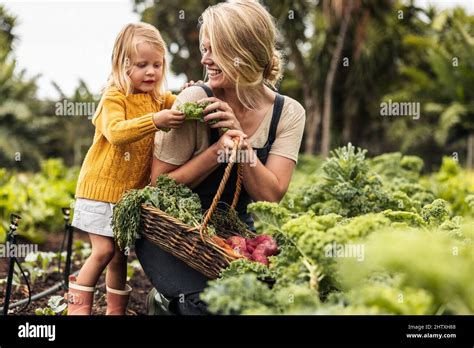 Happy Single Mother Picking Fresh Vegetables With Her Daughter Cheerful Young Mother Smiling