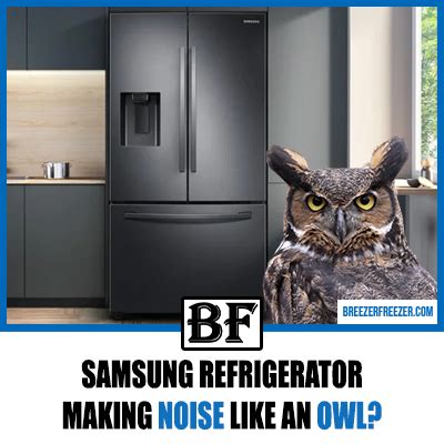 Samsung Refrigerator Making Noise Like An Owl Reasons Breezer