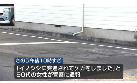 唸声事件現場／新潟市中央区の住宅街にイノシシ、女性が襲われ軽いケガ 唸声の気になるニュースとストリートビュー