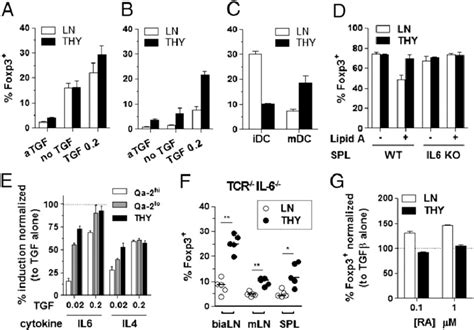 Enhanced Sensitivity Of Mature T Cells To Modulators Of Foxp3