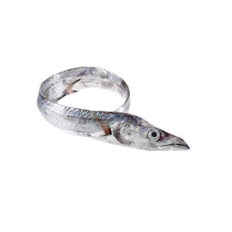 Peixe Espada Branco Lepidopus Caudatus Lurdes Narciso Lda S