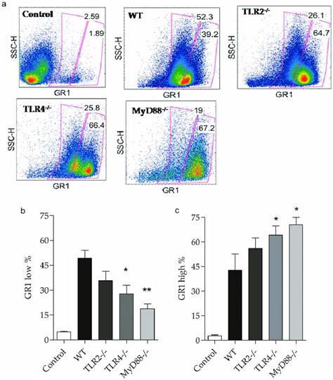 Migration Gr Neutrophils Into The Peritoneal Cavity After Clp A