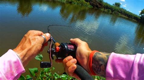 VORACES PESCANDO CON SEÑUELO DORADOS PALOMETAS BAITCASTING YouTube