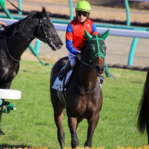 東京ファルコ⭐️ On Twitter 20 01 05 中山競馬場 中山7r レースを終えてミチビキとともに引き上げてきた菜七子騎手。 最後の直線で2頭の落馬事故があってヒヤッとしまし