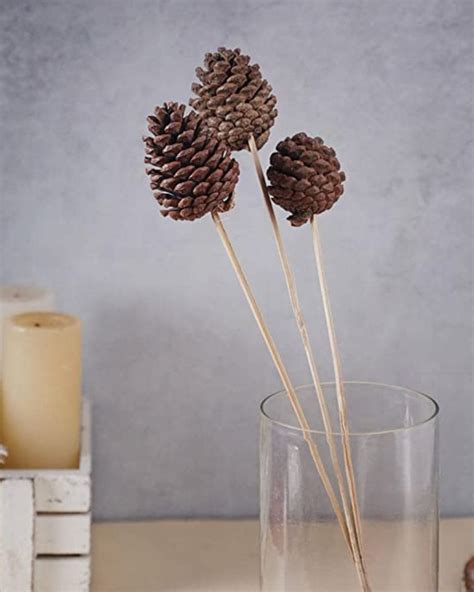 Buy This Best Quality Pine Cone Stick At Joynagar