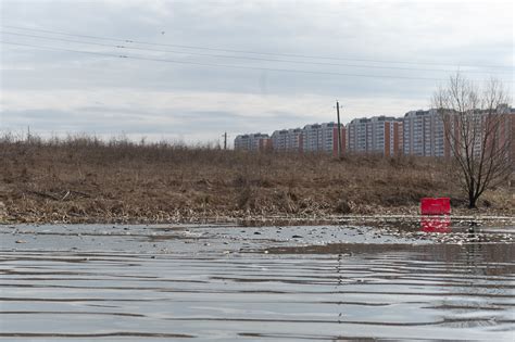 Кто травит Подмосковье? | Пикабу