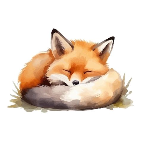 Le Renard De Dessin Anim Dormant Dans Le Style De La Peinture L