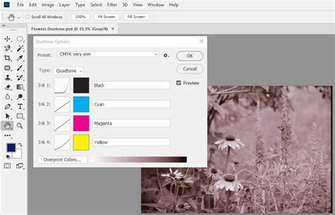 How to Use Duotone Mode in Photoshop - SkillForge