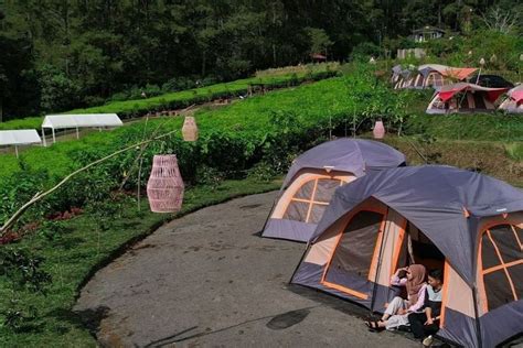 Berasa Liburan Di Swiss Yuk Ke Tempat Wisata Glamping Murah Astro