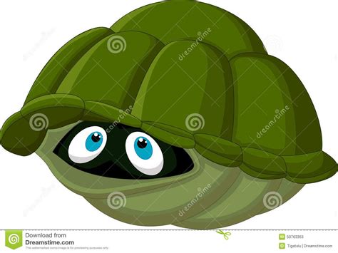 Can A Tortoise Go Inside Its Shell - Tommy Grier Torta Nuziale