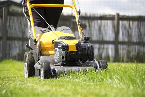 Lawn Mower Cutting Green Grass In Backyard Garden Service Stock Image