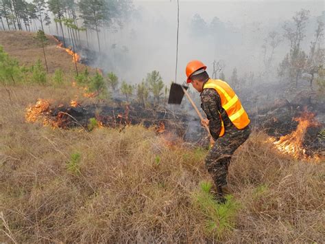 Fuerzas Armadas De Honduras On Twitter Las Ffaa A Trav S Del Comando