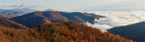 Shenandoah National Park Camping in 2024 (+Maps & Tips) - TMBtent