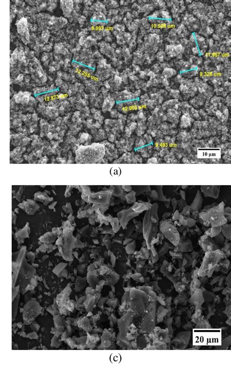 Shows The Fourier Transformed Infrared Ftir Spectra To Analyze The