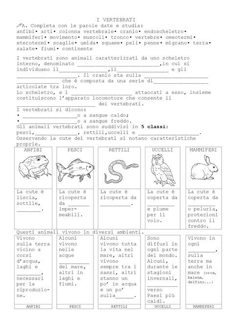 Verifica Sui Vertebrati Prove D Esame Di Scienze Della Terra Docsity