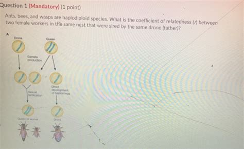 Solved Question 1 Mandatory 1 Point Ants Bees And Chegg