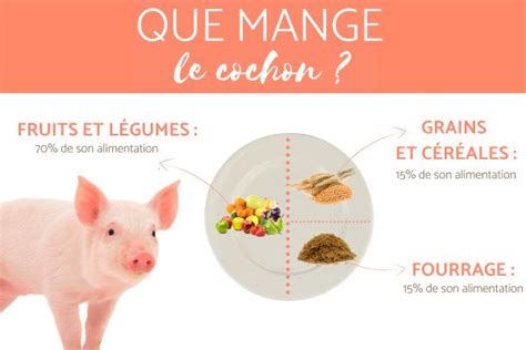 Que Mange Le Cochon