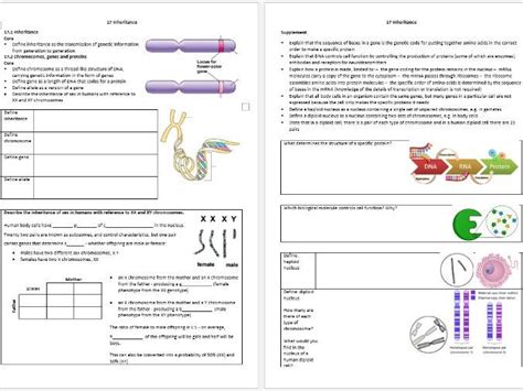 Revision Workbook For Inheritance Cambridge Igcse Biology 0610