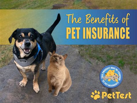 The Benefits of Pet Insurance - PetTest by Advocate