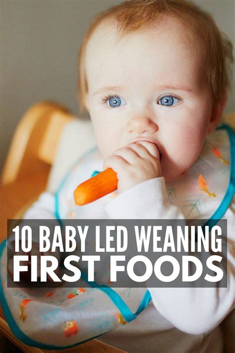 Baby Led Weaning For Beginners 25 Tips And Recipes For New Moms Artofit