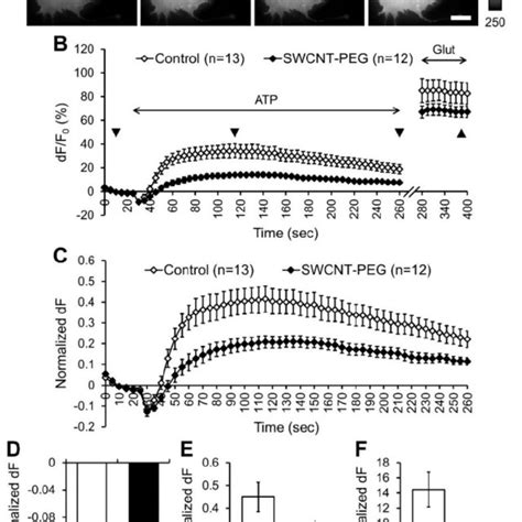 Single Walled Carbon Nanotubes Chemically Functionalized With