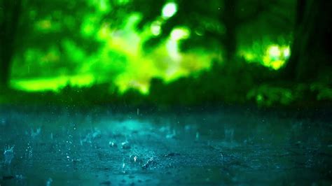 Raining Shower In The Dense Forest Close Up Of Rainfall In Jungle