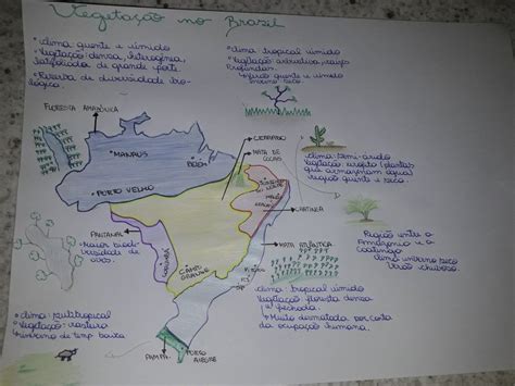 Mapa Mental Sobre Os Biomas Brasileiros Mapa Meta