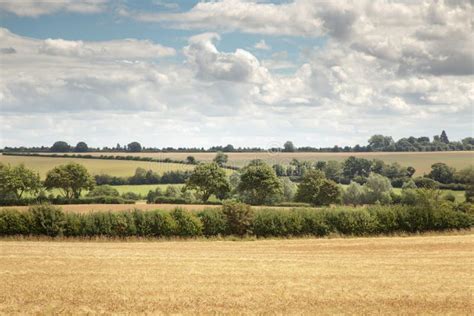 Countryside of Oxfordshire England Stock Photo - Image of britain ...