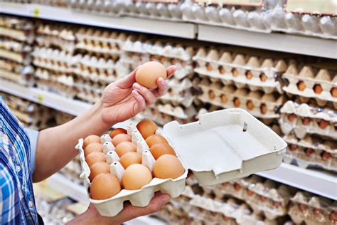 What Every Buyer Should Know About Their Options For Healthy Eggs