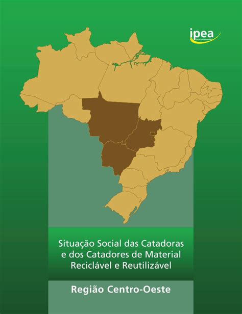 Pdf Situa O Social Das Catadoras E Dos Catadores Regi O Centro