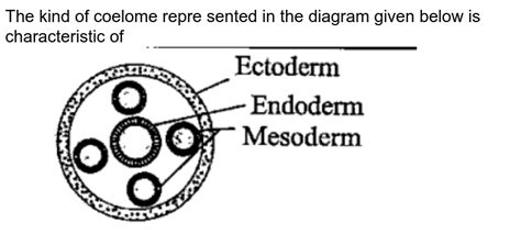 The kind of coelom represented in the diagram given below is chara