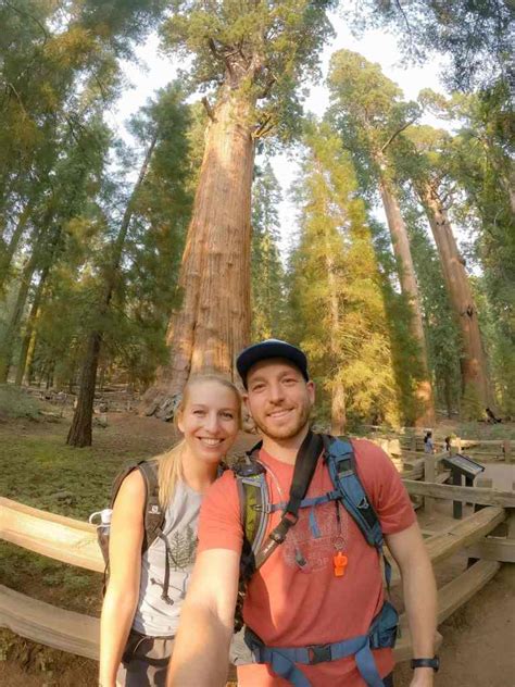 The Largest Tree on Earth: How to Visit The General Sherman Tree ...