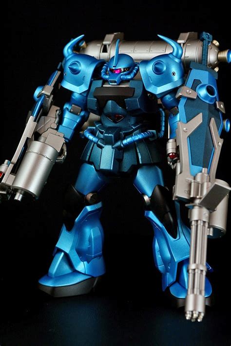 Gouf Custom Hg