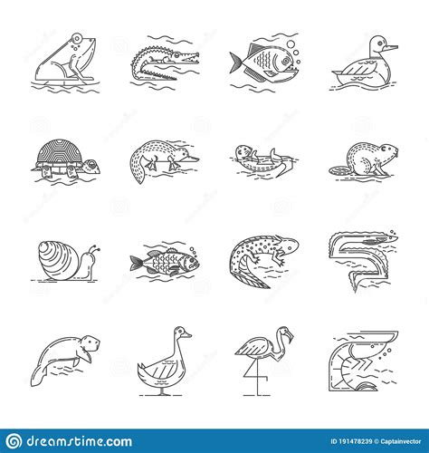 Collection Of Animals From Africa`s Big Five Vector Illustration On